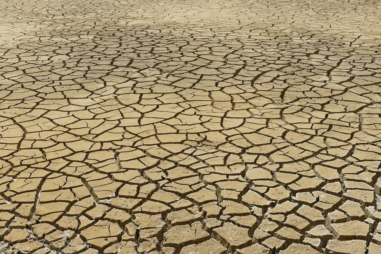 découvrez les causes, impacts et solutions du changement climatique pour mieux comprendre et agir face aux défis environnementaux mondiaux.