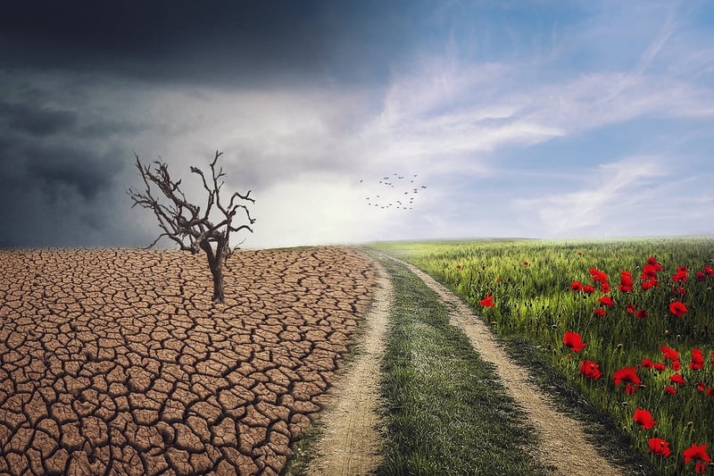Changement climatique : les clés pour une Occitanie autonome et souveraine face aux enjeux environnementaux