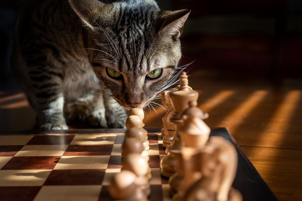 Quelles stratégies pour surmonter les échecs entrepreneuriaux ?
