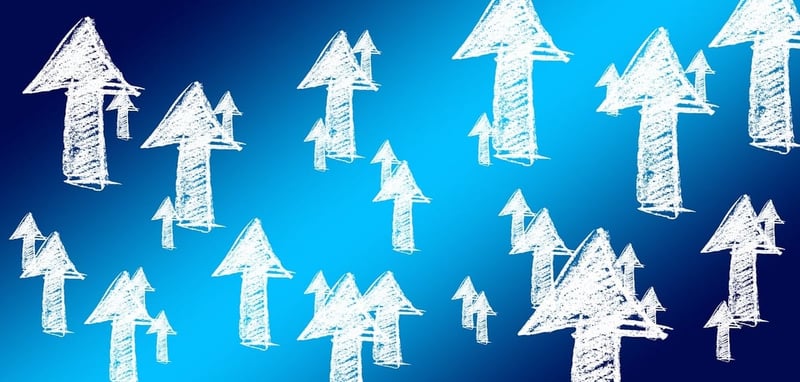 Moumoute : la stratégie astucieuse et économique de cette start-up pour booster sa notoriété sur…