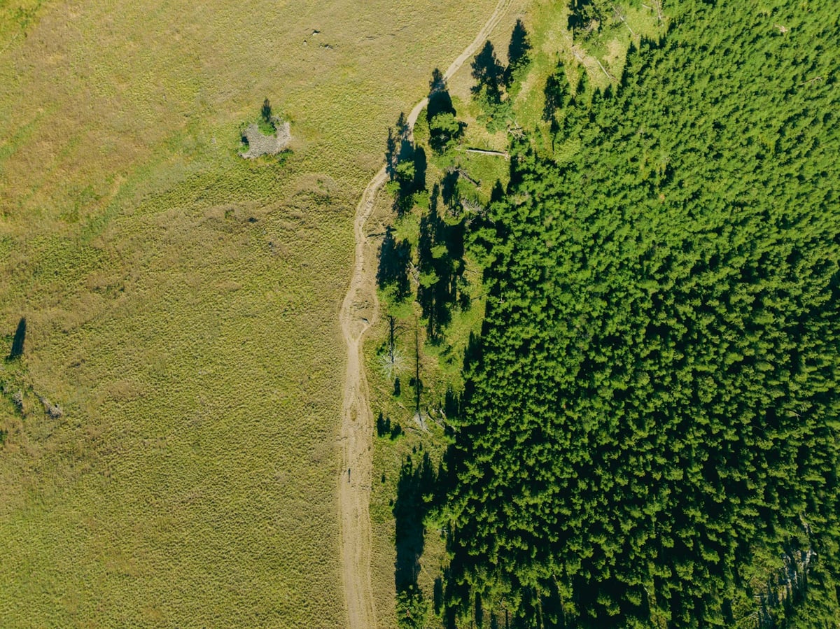 Bilan Carbone : Un Outil Stratégique pour Accélérer la Transition Écologique des Entreprises